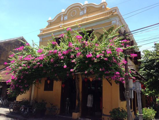 Schoene Haeuser, wundervoll Blumen. In der Innenstadt duerfen keine Autos fahren. (Weltkulturerbe).