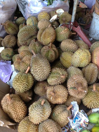 Diese Frucht riecht ziemlich streng. Und schmecken tut sie noch schlimmer. In Asien aber sehr beliebt.