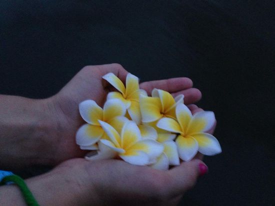 Eine Handvoller Blumen am Parfuemriver