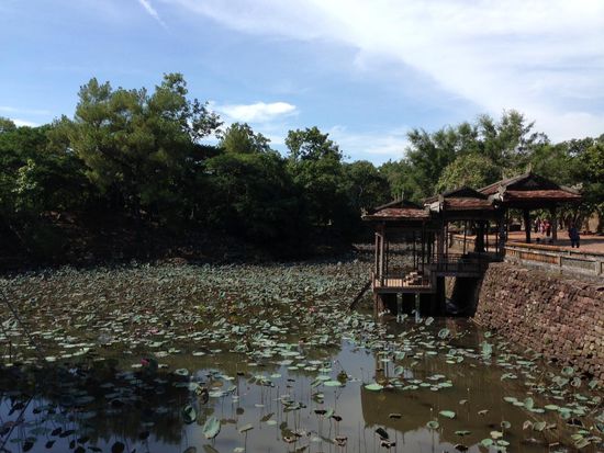 Wassergraben mit Lotublumen