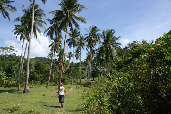 Dschungeltour zu den Nagkalitkalit Water Falls (1 von 2)