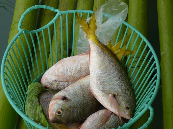 Banol Beach (1 von 3)