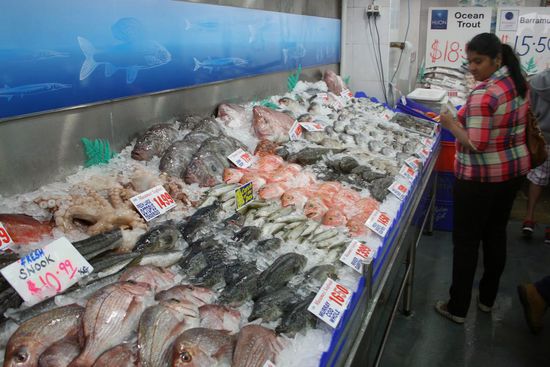 Sydney Fish Market
