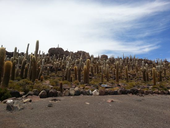 Isla Inka Huasi 3800m