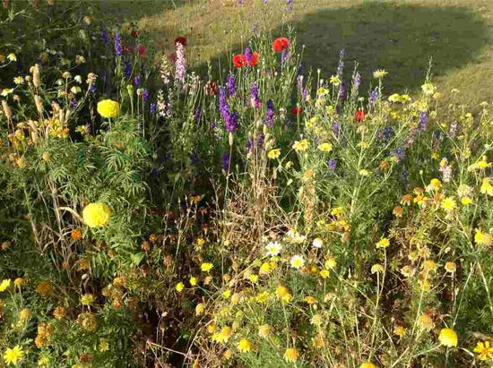 Auch so kann es in Rajasthan aussehen