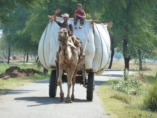 Die Fahrt über die Dörfer