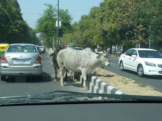 Auf dem Highway in Delhi