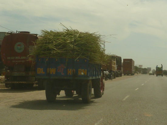 Da ist alles Mögliche unterwegs