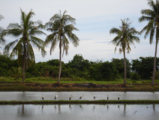 Im Hinterland von Hua Hin in Richtung Myanmar