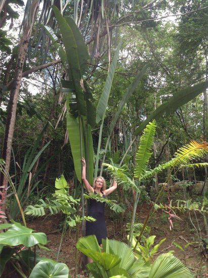 Im Las Orquideas Resort