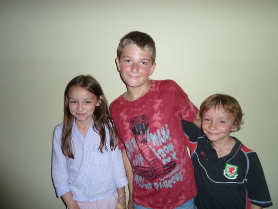 Nico und die Waliser