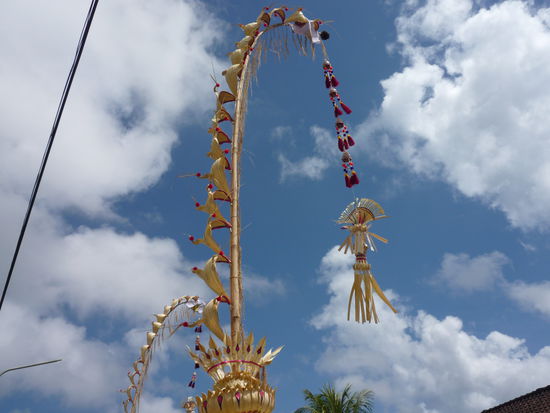 Sieht man überall unterwegs