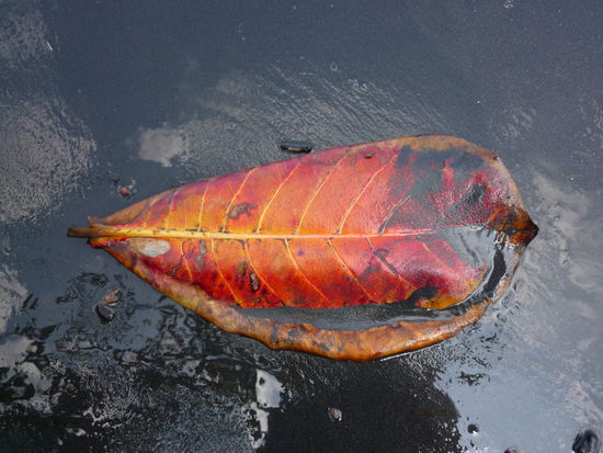 Der Sand ist wirklich richtig schwarz