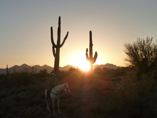 Letzter Abend in Arizona 2011