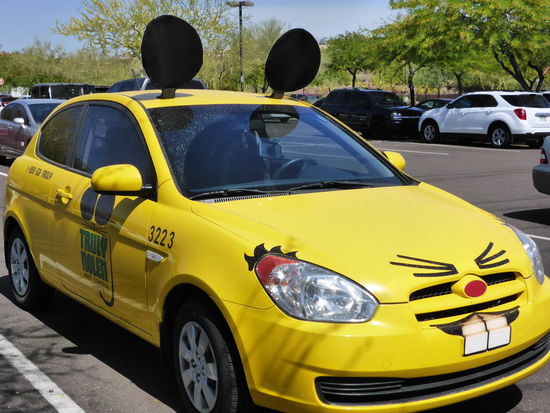 Auto vom Kammerjäger