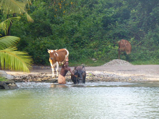 Morgenwäsche am nächsten Tag