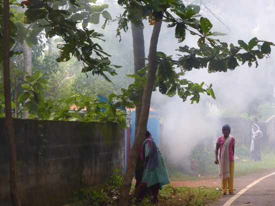 Die ständigen kleinen Feuer am Straßenrand