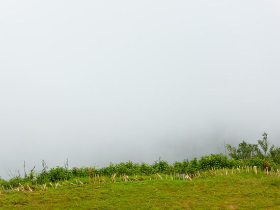 Der Blick in die Wolken