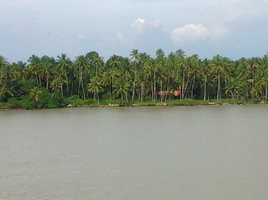 Backwaters und gleich daneben ...