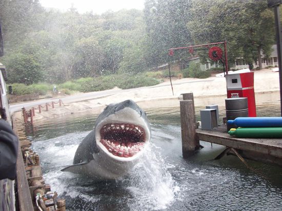 Auge in Auge mit dem Monster und Eva bleibt cool