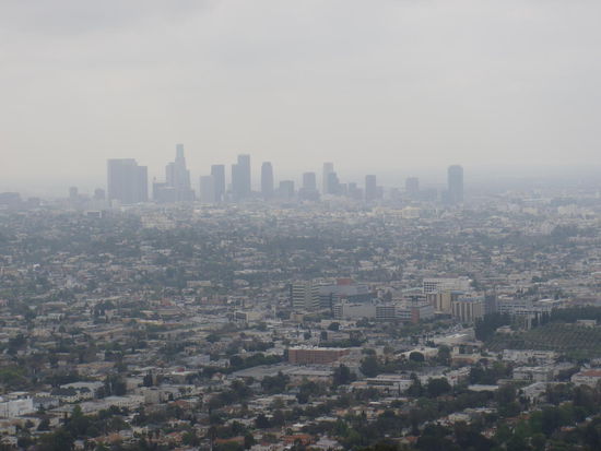 Blick über einen kleinen Teil von Los Angeles Richtung Downtown