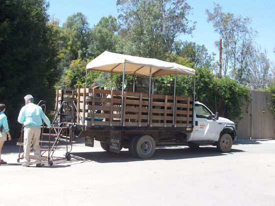 Mit dem Truck eine 2-stündige Rundfahrt durch das Afrika- und Asiengelände. Sehr freundliche Führerin.