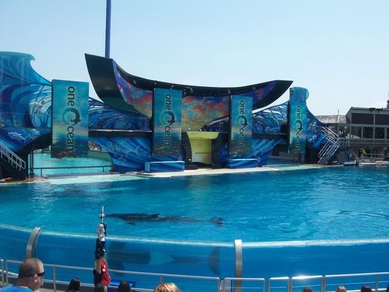 San Diego Seaworld - ein Erlebnis der besonderen Art