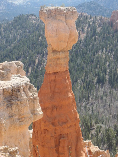 Eine alleinstehende Säule - ein so genannter Hoodoo