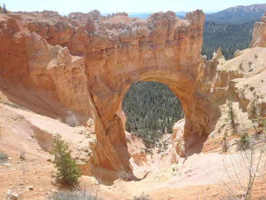 Die "Natural Bridge", ein super Motiv