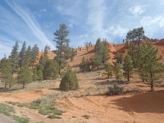 Auf dem Weg zum Zion NP durchquerten wir den Red Canyon