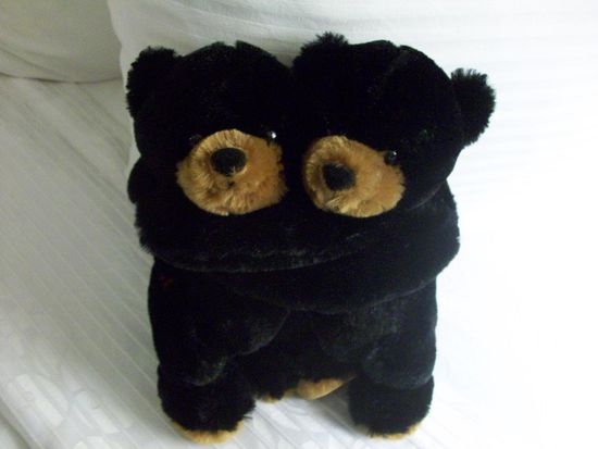 Und wie es halt so ist, wenn man die Jungspunde aus den Augen verliert, jetzt haben wir auch noch Zwillinge an Bord.