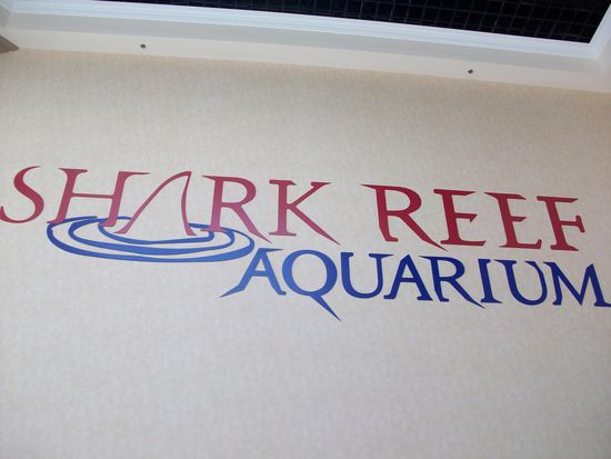 Das kleine, aber feine Aquarium im Mandala Bay