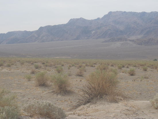 In Devil`s Corn Field stehen die Grasbüschel wie Getreidegarben.