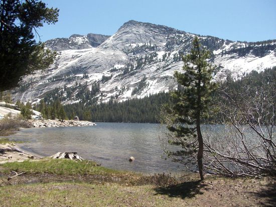 Kurze Fotopause am Tenaya Lake - warm in der Sonne und "bärig" kalt im Wind