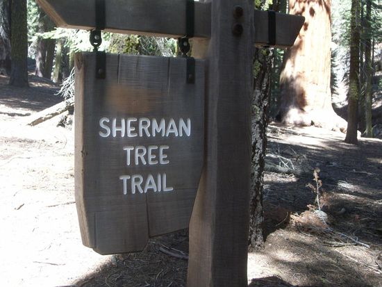 Zugang zum weltgrößten Baum - dem General Sherman Tree. Etwa 2200 Jahre alt.