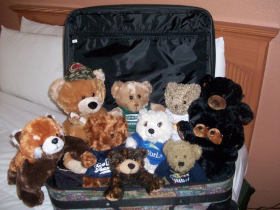 Vorwarnung für Daheim, wir kommen nicht allein, im Koffer stecken 11 so Bären, denen ist Unterschlupf zu gewähren.
Über die ganzen 5 Wochen haben sich eine Menge Mitreisende angesammelt, die sich in einem eigens dafür gekauften Koffer auf die Reise nach Europa machen dürfen.