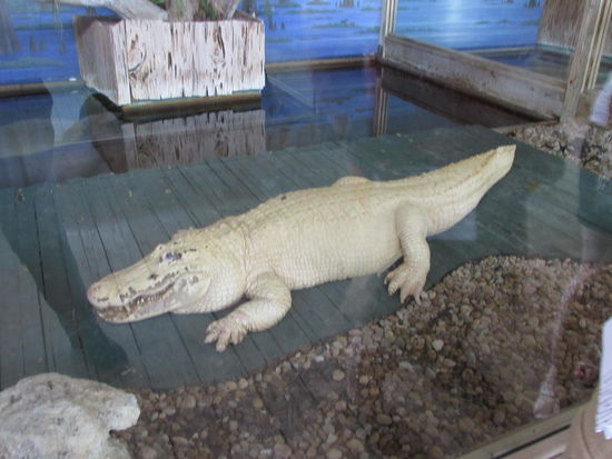 Meine Lieblingsspeise sind Maler