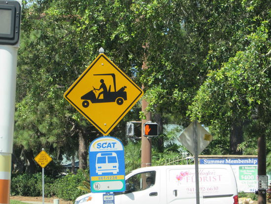 Achtung - verzweifelte Golfspieler suchen den Ball