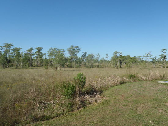 Kilometer über Kilometer das gleiche Bild