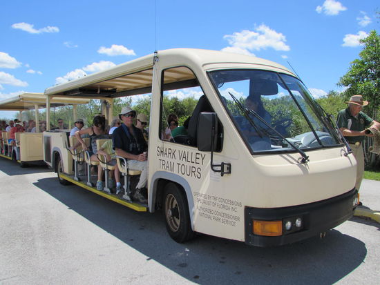 Die Shark Valley Tram