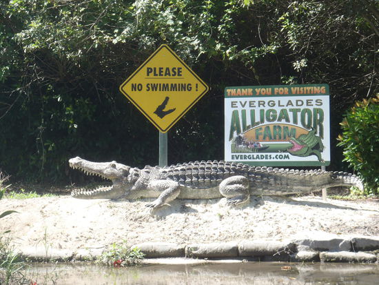 Wer da noch Lust auf Schwimmen hat?