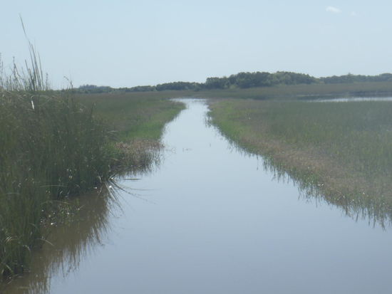 Fahrtstrecke unseres Airboates