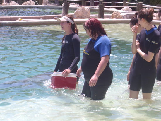 Kontaktaufnahme mit den Tieren