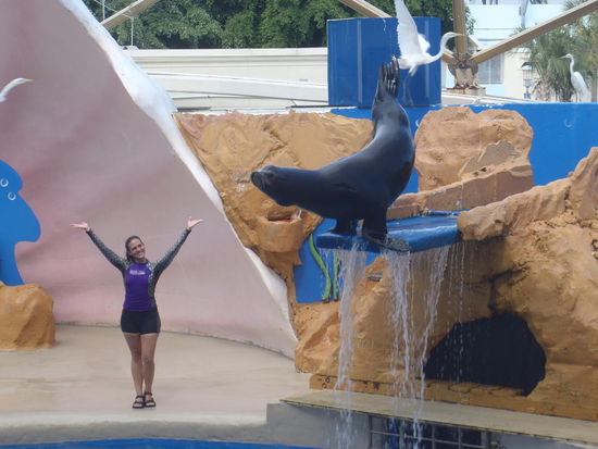 und perfektem Wasserspringer