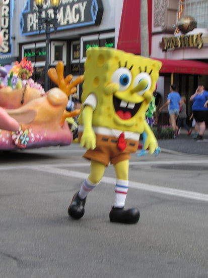 Spongie wie er leibt und lebt