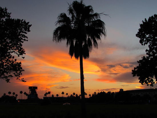 Mit diesem Sonnenuntergang hat sich Florida von uns verabschiedet