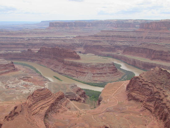 Schmachtender Blick eines durstigen Pferdes auf die Wasser des Colorado Rivers