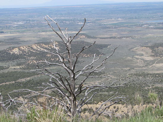 Blick ins Montezuma Valley