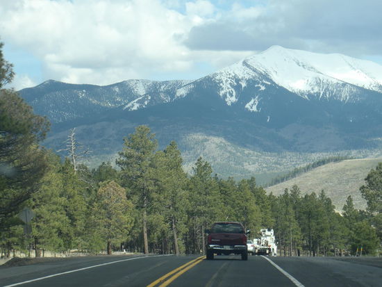 Ein herrlicher Anblick - die schneebedeckten Gipfel der San Fancisco Peaks