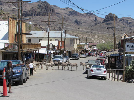 Eselblockade in Oatman